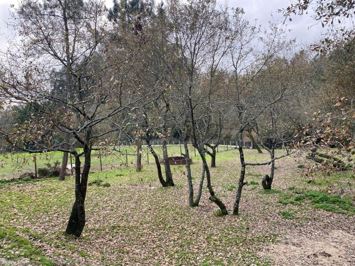 Quinas Playground Villa Souto da Carpalhosa Esterno foto